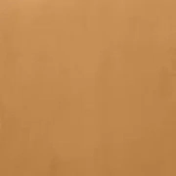 Burnt Orange Plush Velvet